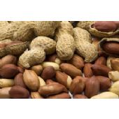 Peanuts